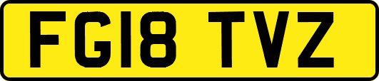 FG18TVZ