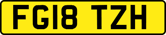 FG18TZH