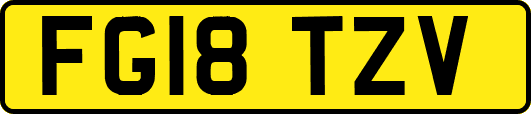 FG18TZV