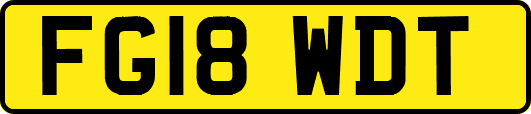 FG18WDT