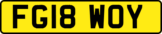 FG18WOY