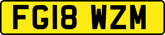 FG18WZM