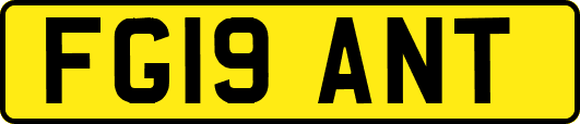 FG19ANT