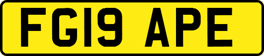 FG19APE