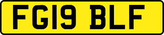 FG19BLF