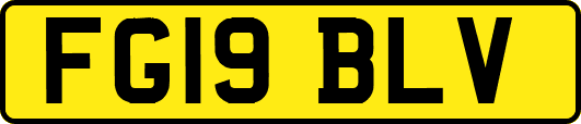 FG19BLV