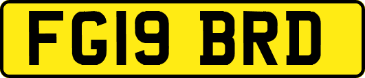 FG19BRD