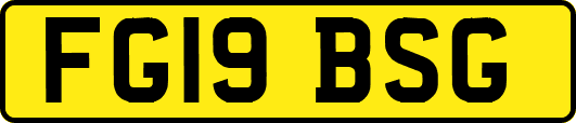 FG19BSG