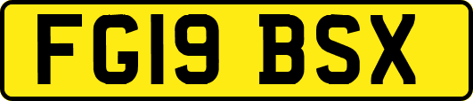 FG19BSX