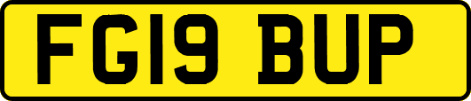 FG19BUP