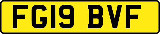 FG19BVF