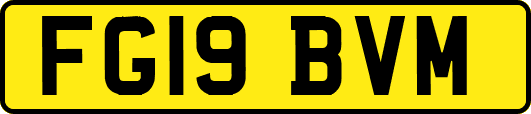 FG19BVM
