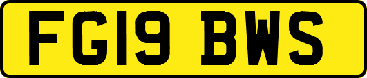 FG19BWS