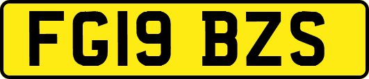 FG19BZS