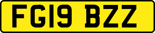 FG19BZZ