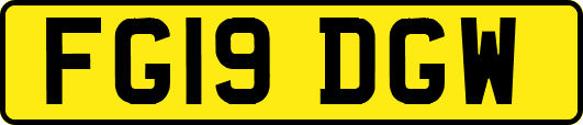FG19DGW