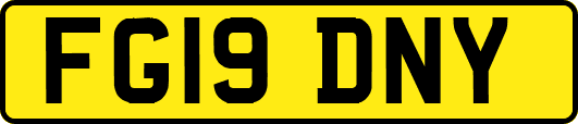 FG19DNY