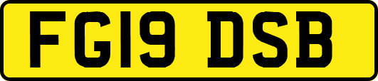 FG19DSB