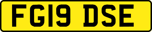 FG19DSE