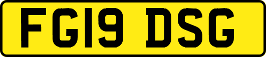 FG19DSG