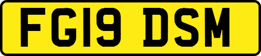 FG19DSM