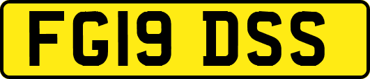 FG19DSS