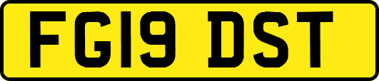 FG19DST