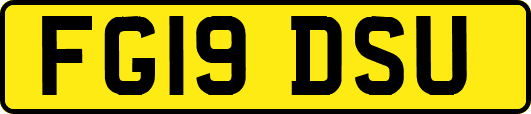 FG19DSU