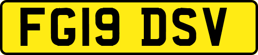 FG19DSV