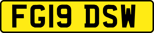 FG19DSW