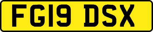 FG19DSX