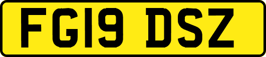 FG19DSZ