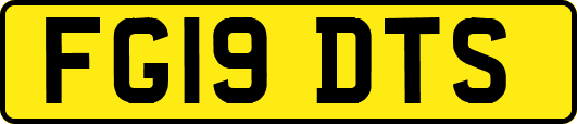 FG19DTS