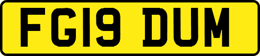 FG19DUM