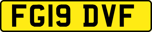 FG19DVF