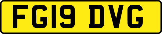 FG19DVG