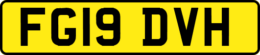 FG19DVH