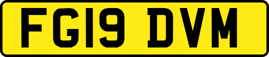 FG19DVM
