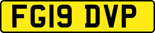 FG19DVP