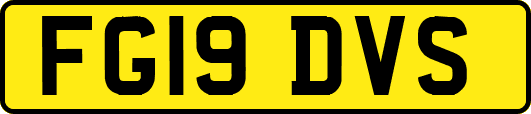 FG19DVS