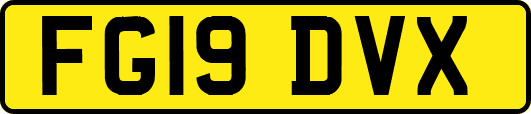 FG19DVX