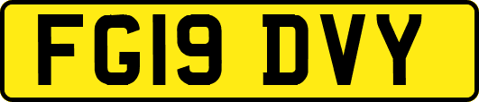 FG19DVY
