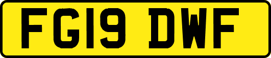 FG19DWF