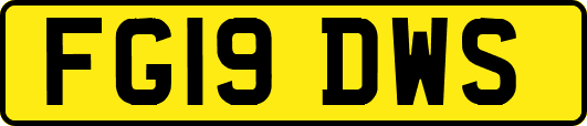 FG19DWS