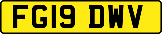 FG19DWV