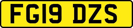 FG19DZS