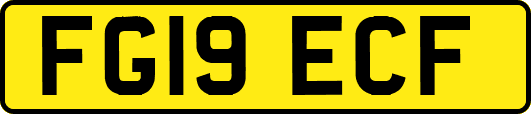 FG19ECF