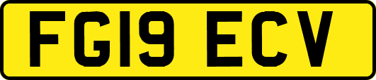 FG19ECV