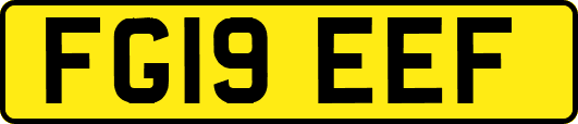 FG19EEF