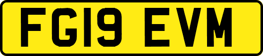 FG19EVM